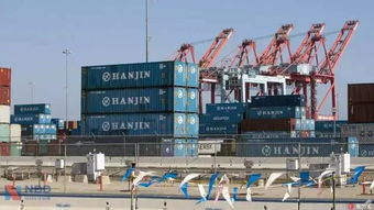 史上最壯烈投機(jī) 這只妖股5天暴漲2100 ,又在一天內(nèi)暴跌80