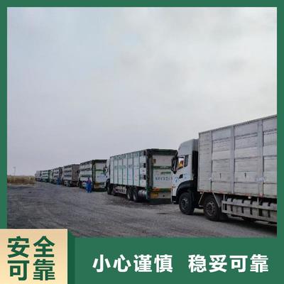 滁州與湖州長興 生豬運輸合作的繁榮紐帶